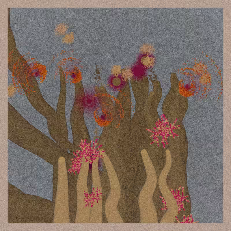 Sea Anemone #84