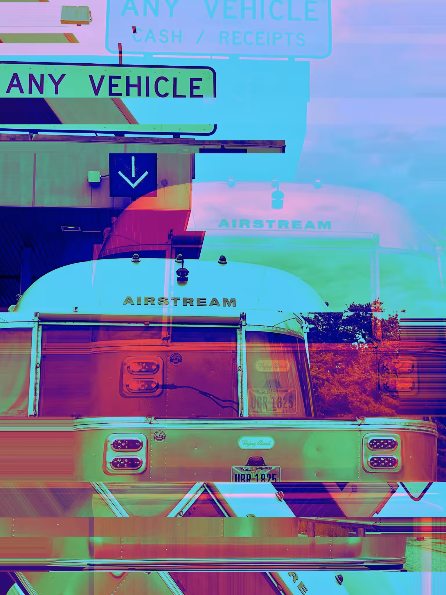 any vehicle