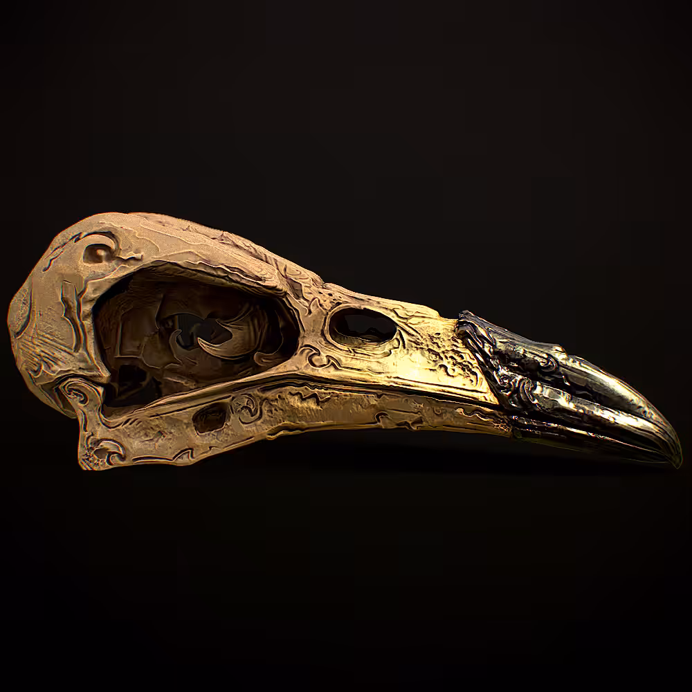 Crow skull - 001