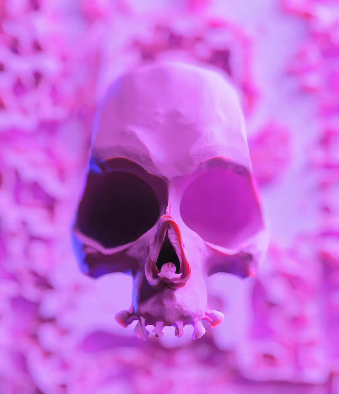 The Skull