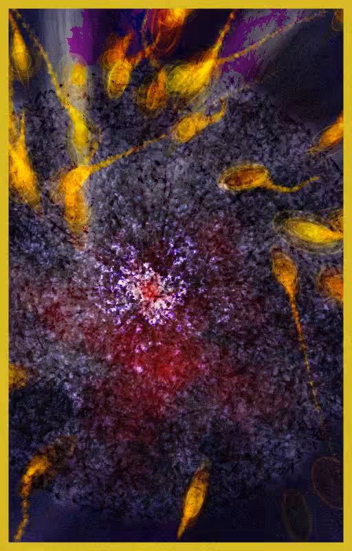 Crescendo #49