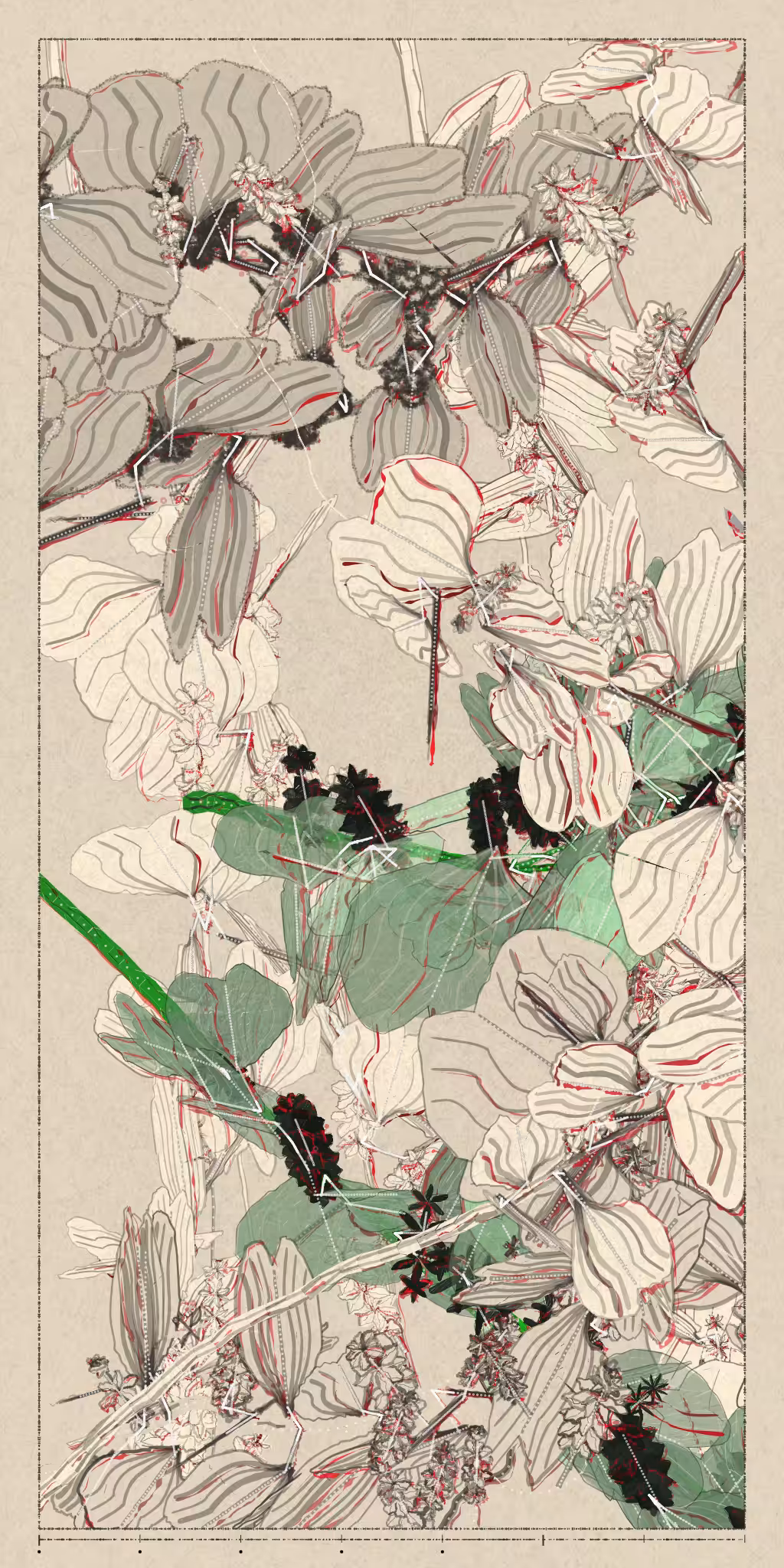 Polypaths | 植徑集 #551