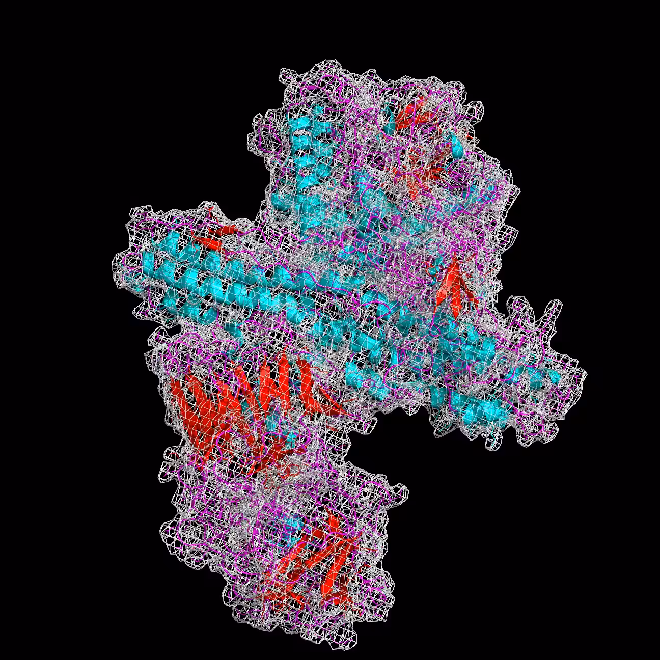 Raising Eyebrows – Botulinum toxin (Botox) arteries