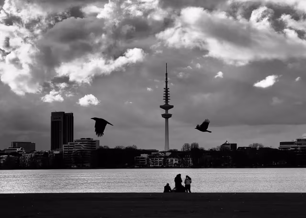 1/1 : Symphony in Flight