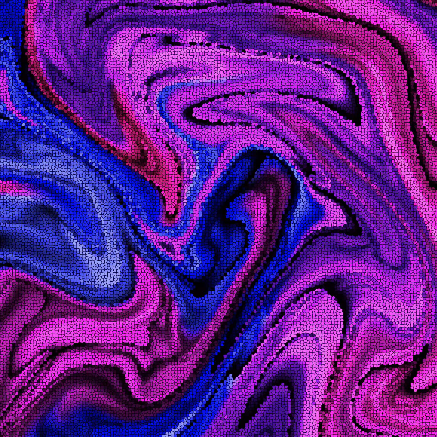 Oil And Water Don't Mix