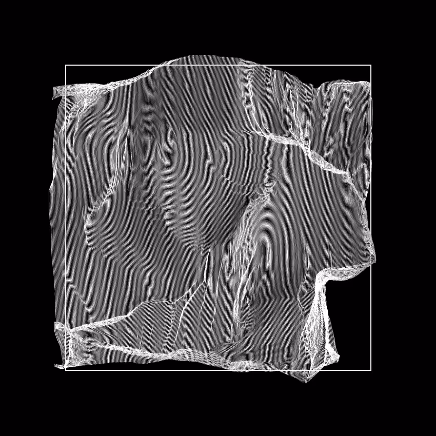 Fibril #169