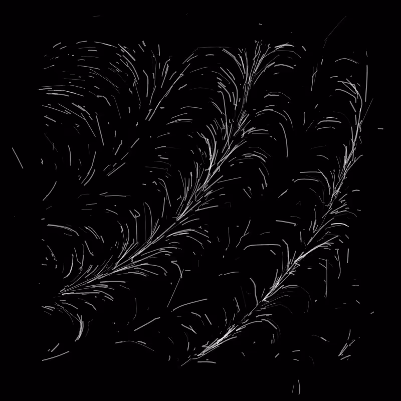 Magnetometer #11
