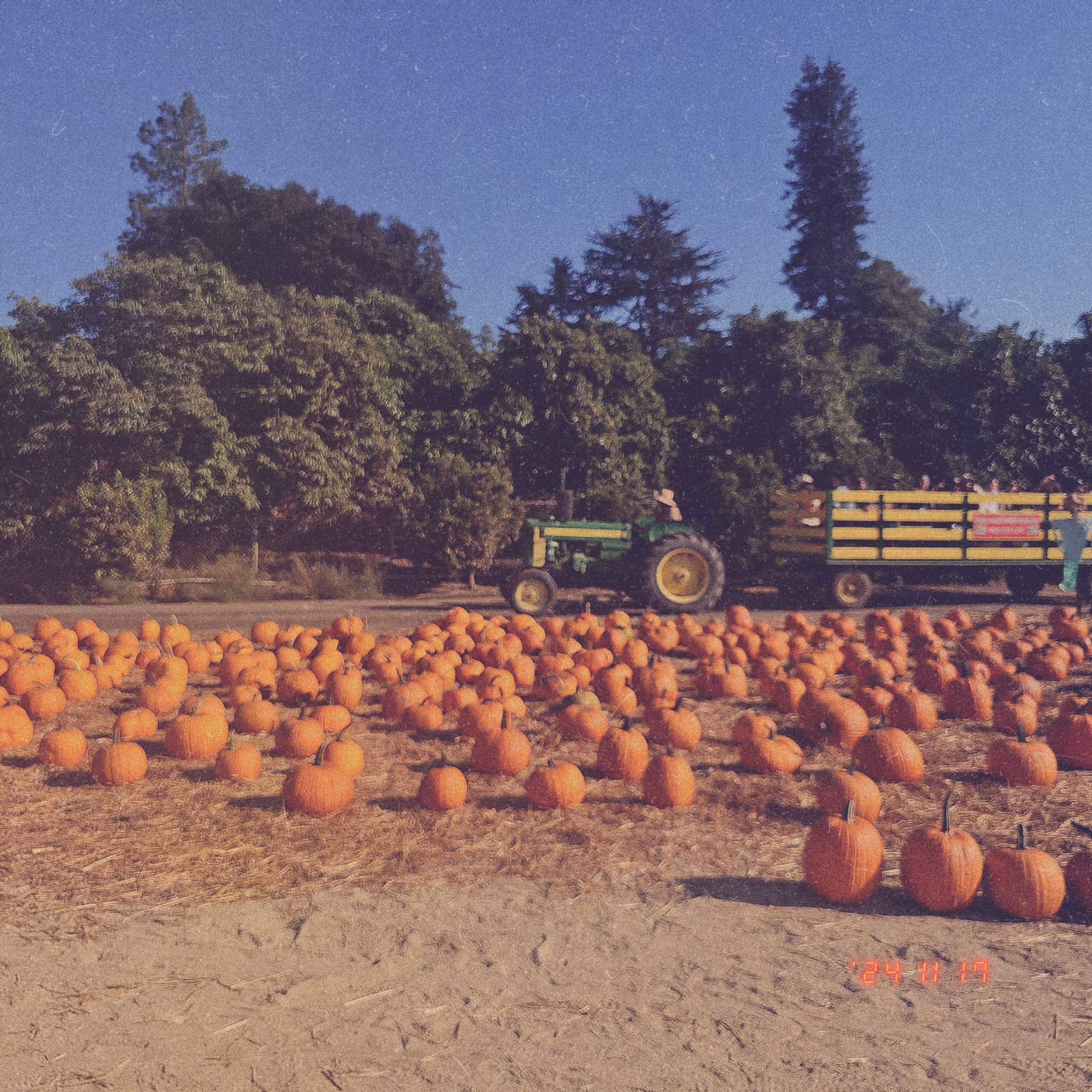 :a Visual Odyssey:: Day 322/365