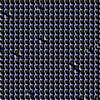 CGA Safari #164