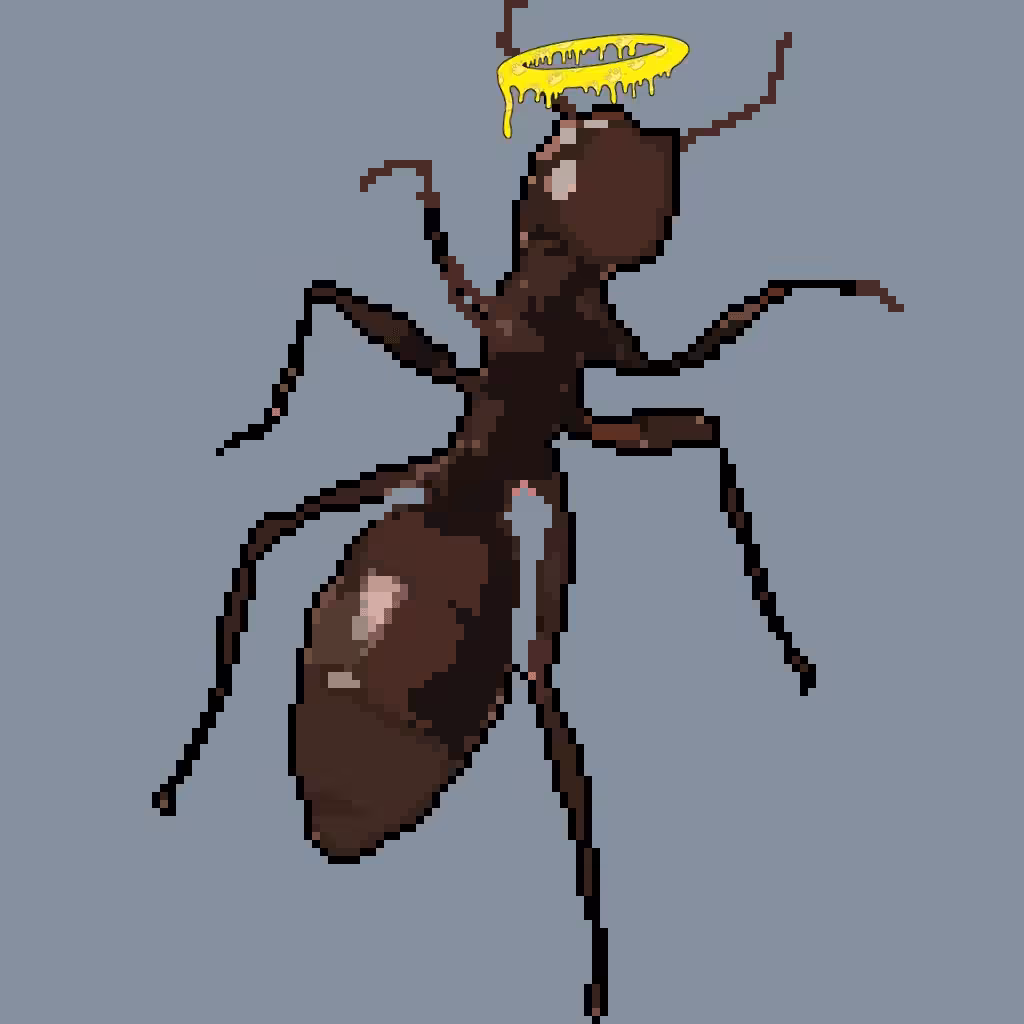 Fvcking Ant Julio - 03