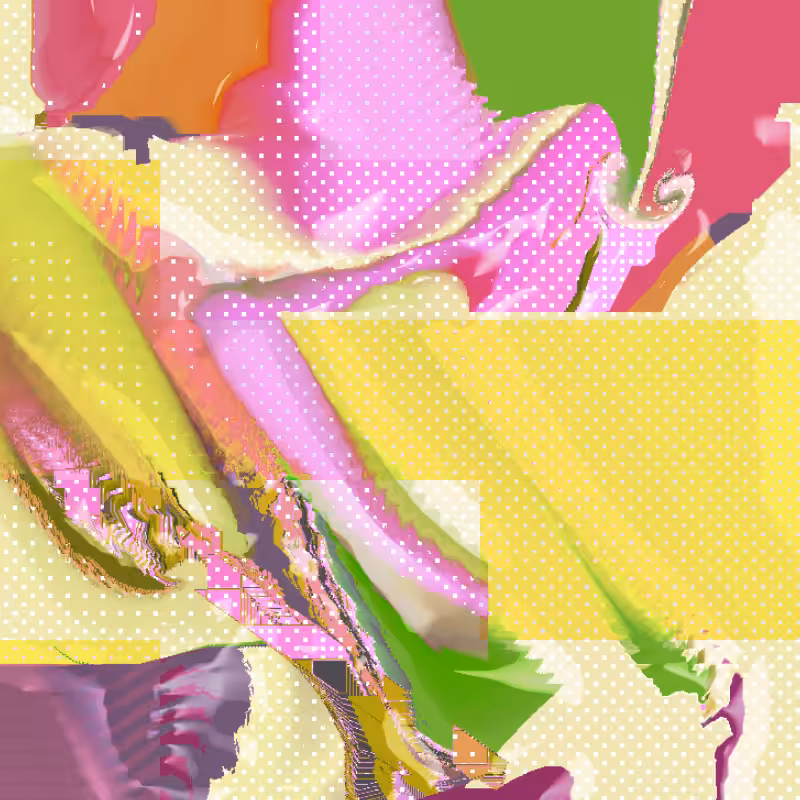 fragments #39
