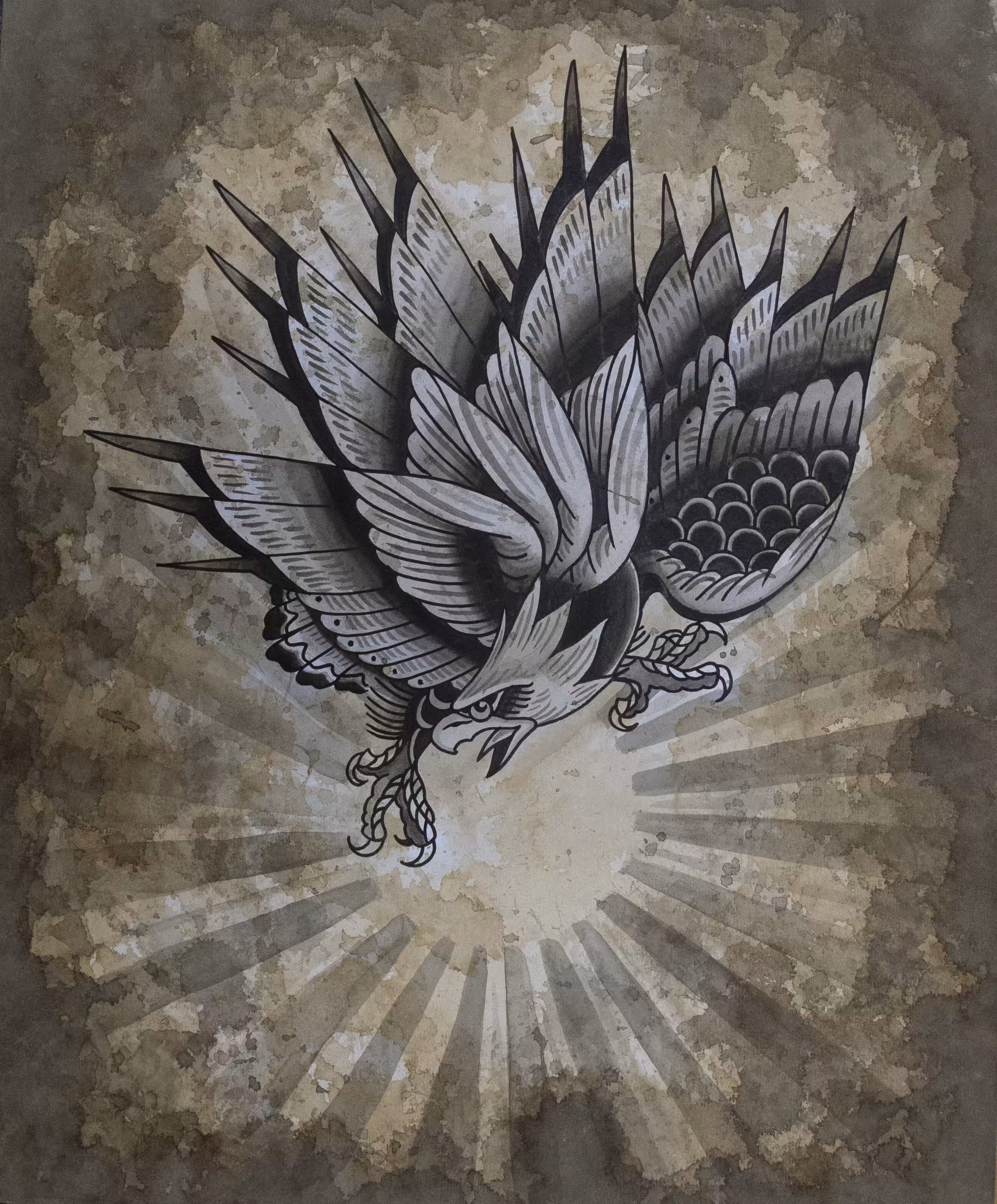 Six Winged Eagle
