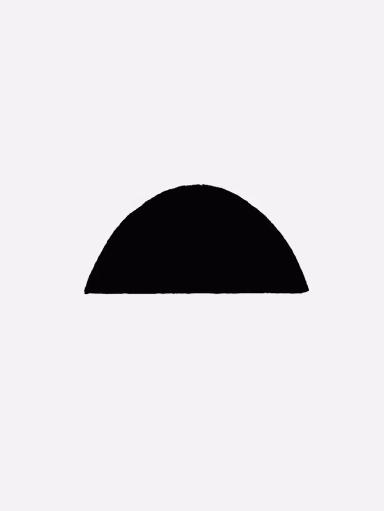 black scarabaeus