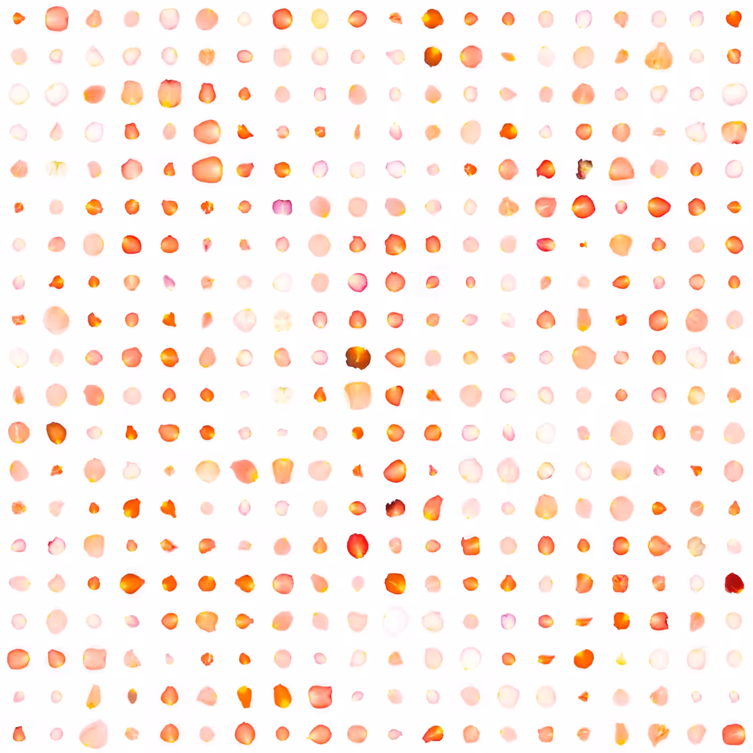 Infinite Petals 20x20#27918