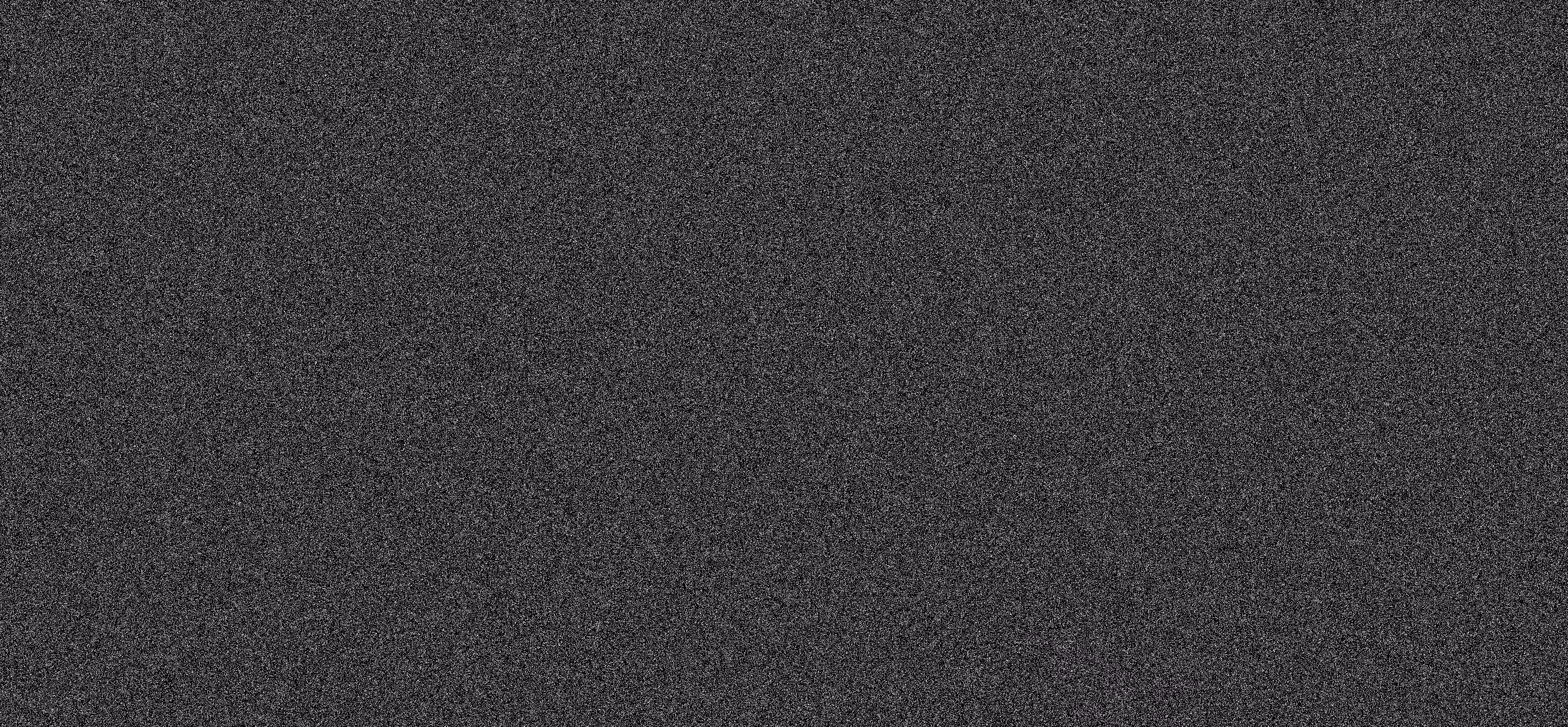 WE ARE NOISE