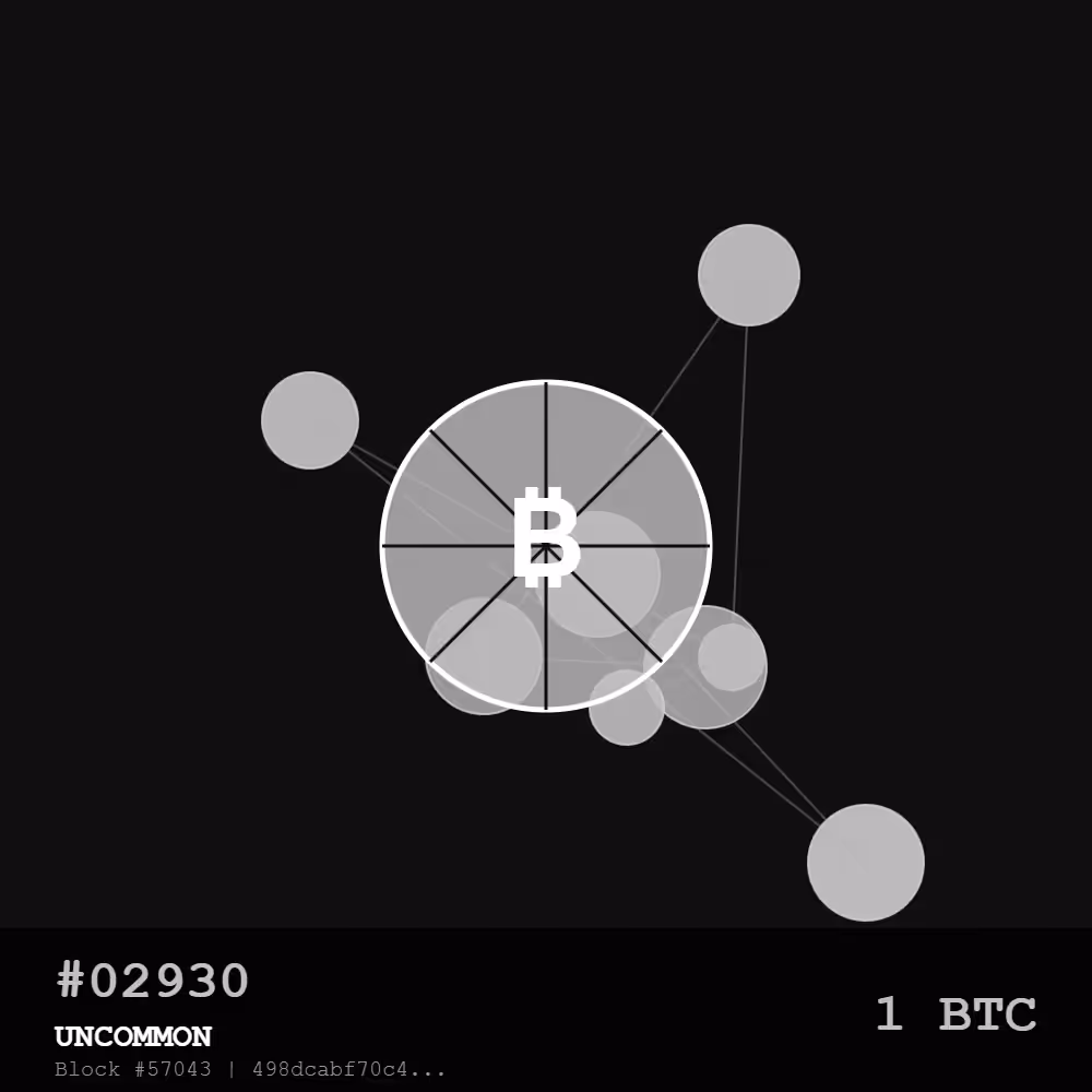 🍕Bitcoin Pizza Genesis: 10K — UNCOMMON #02930