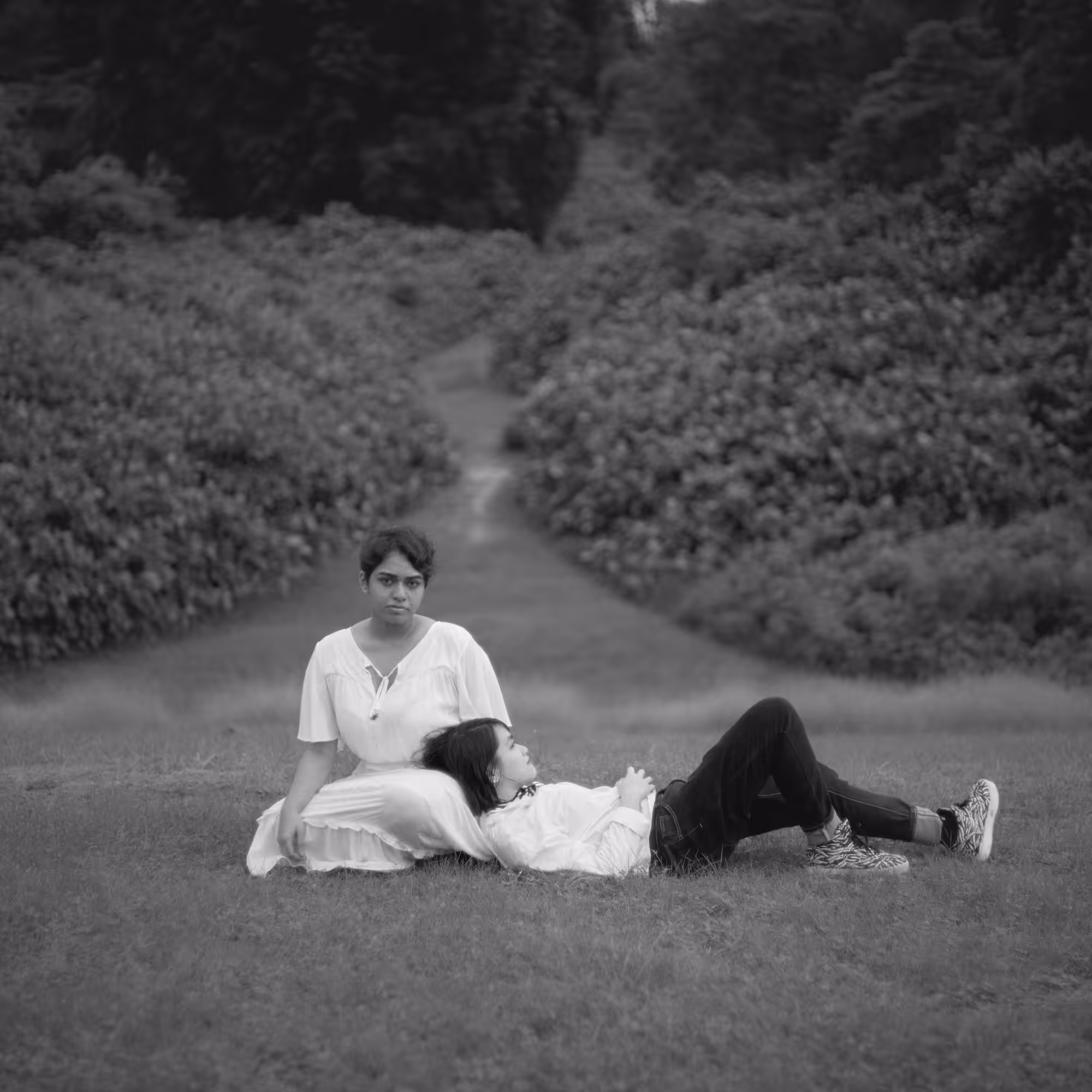 Young Love 1398A
