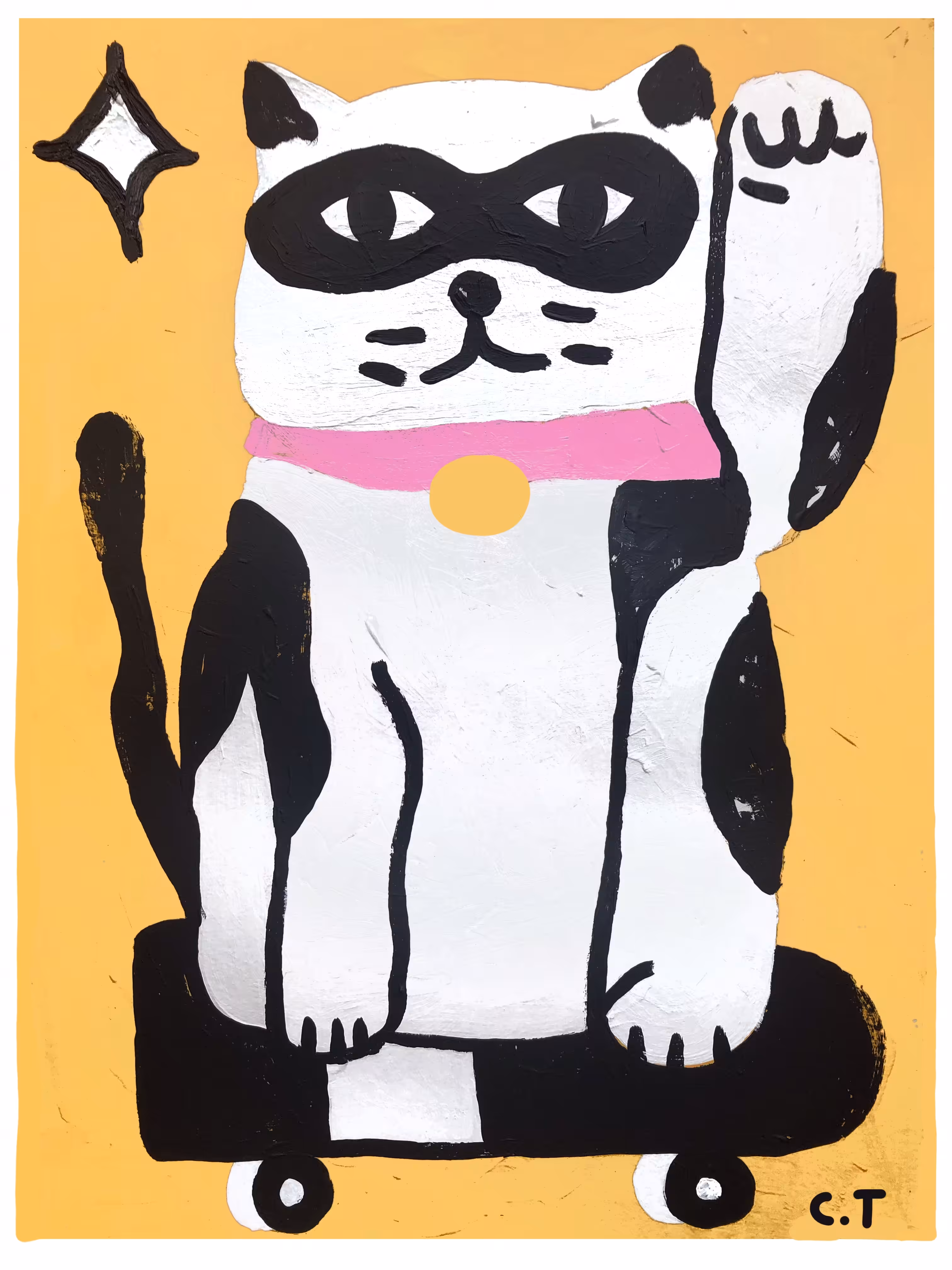 Burglar cat