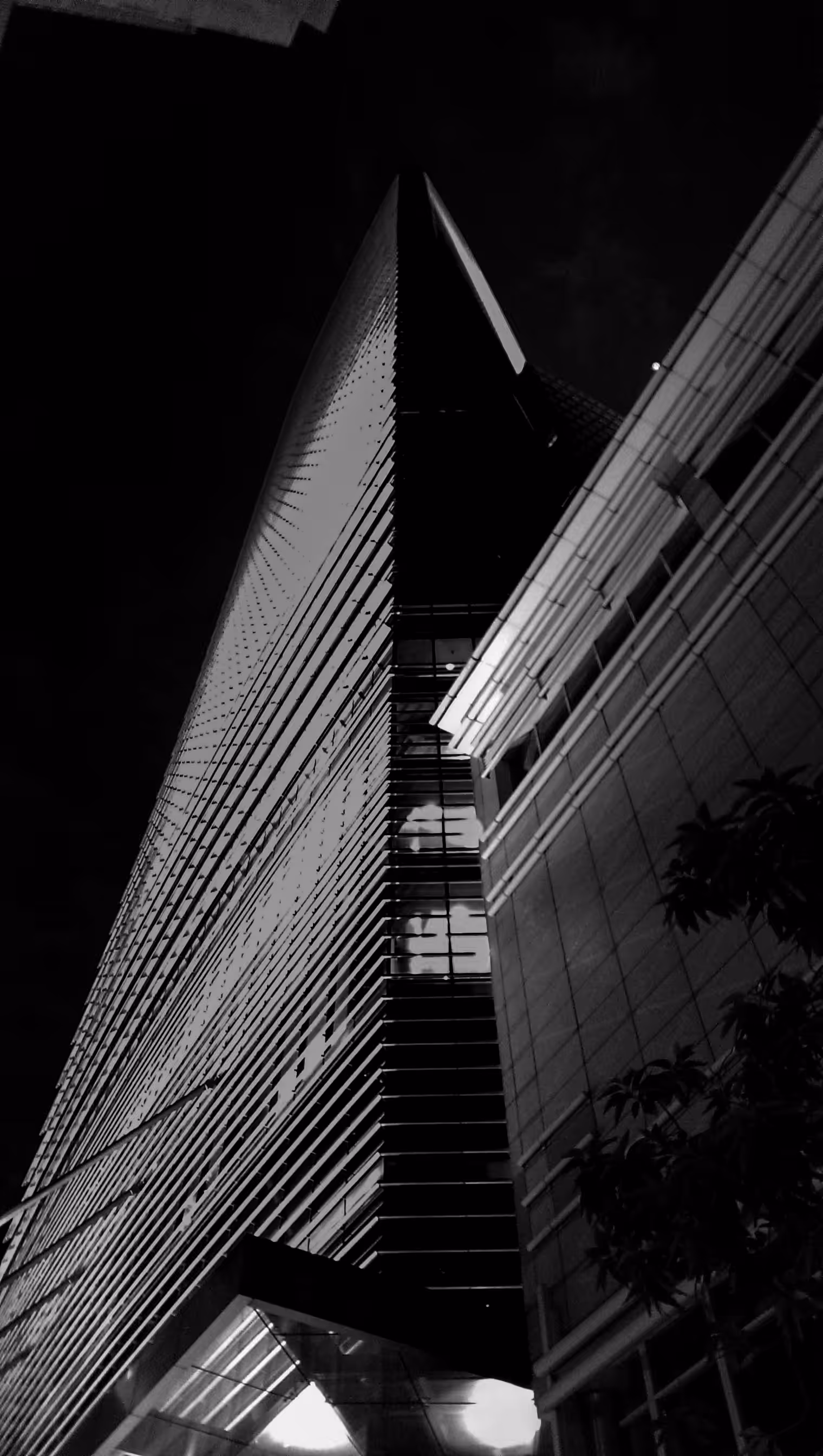 Perspective 