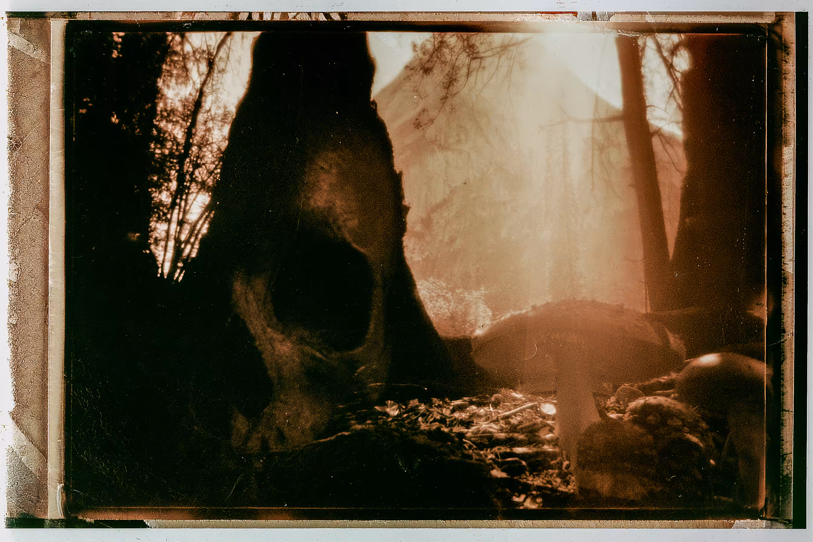 The Hollow Feast