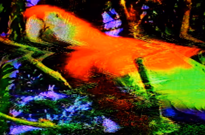 20210611-16:15:27