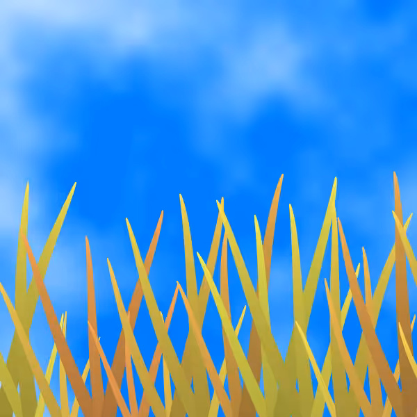 Fields of Ukraine #23