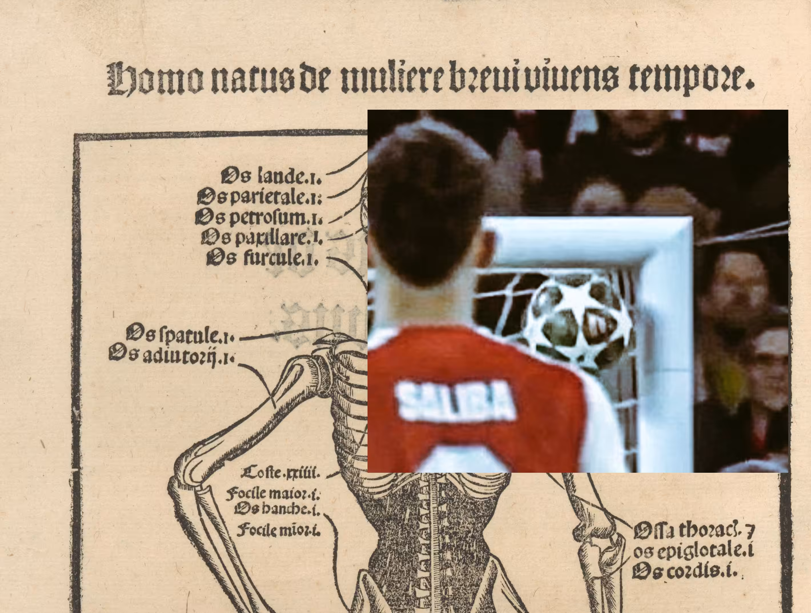 Surgical