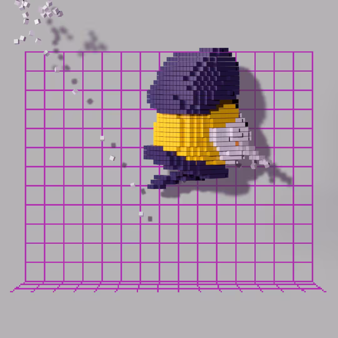 Voxel Eric 07