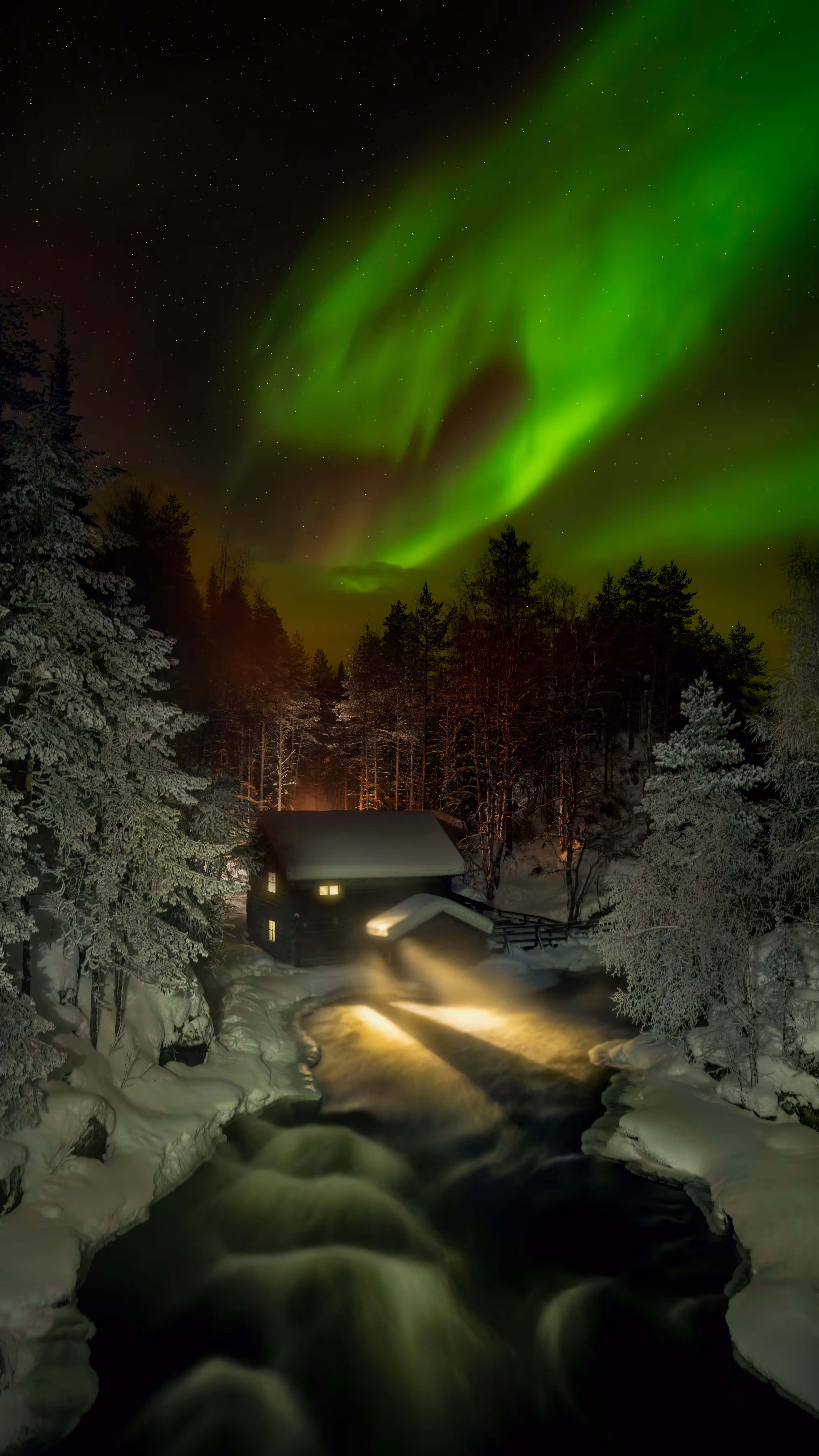 Dark Skies: Whispers at the Night