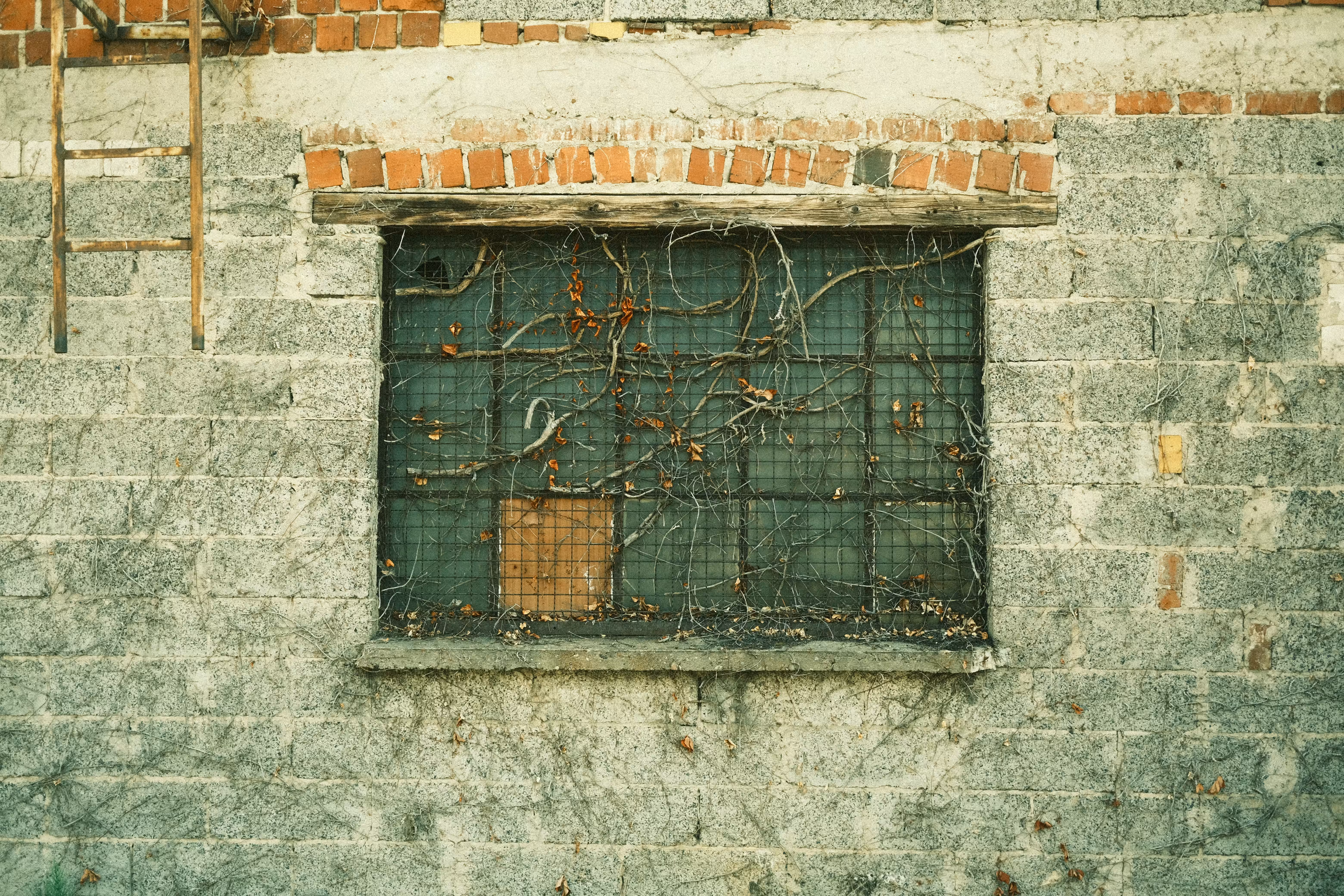 A window 