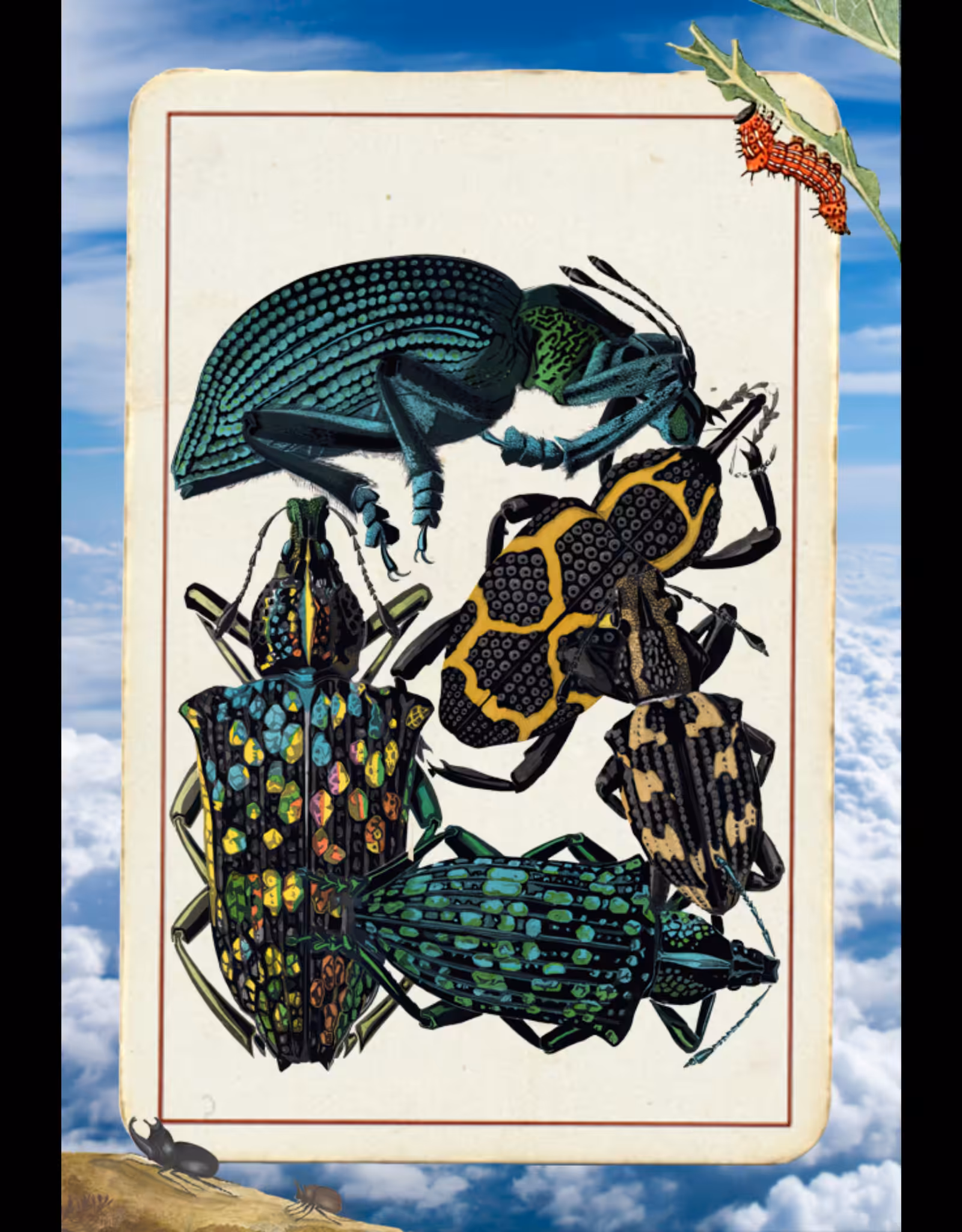 Paper Bugs #14