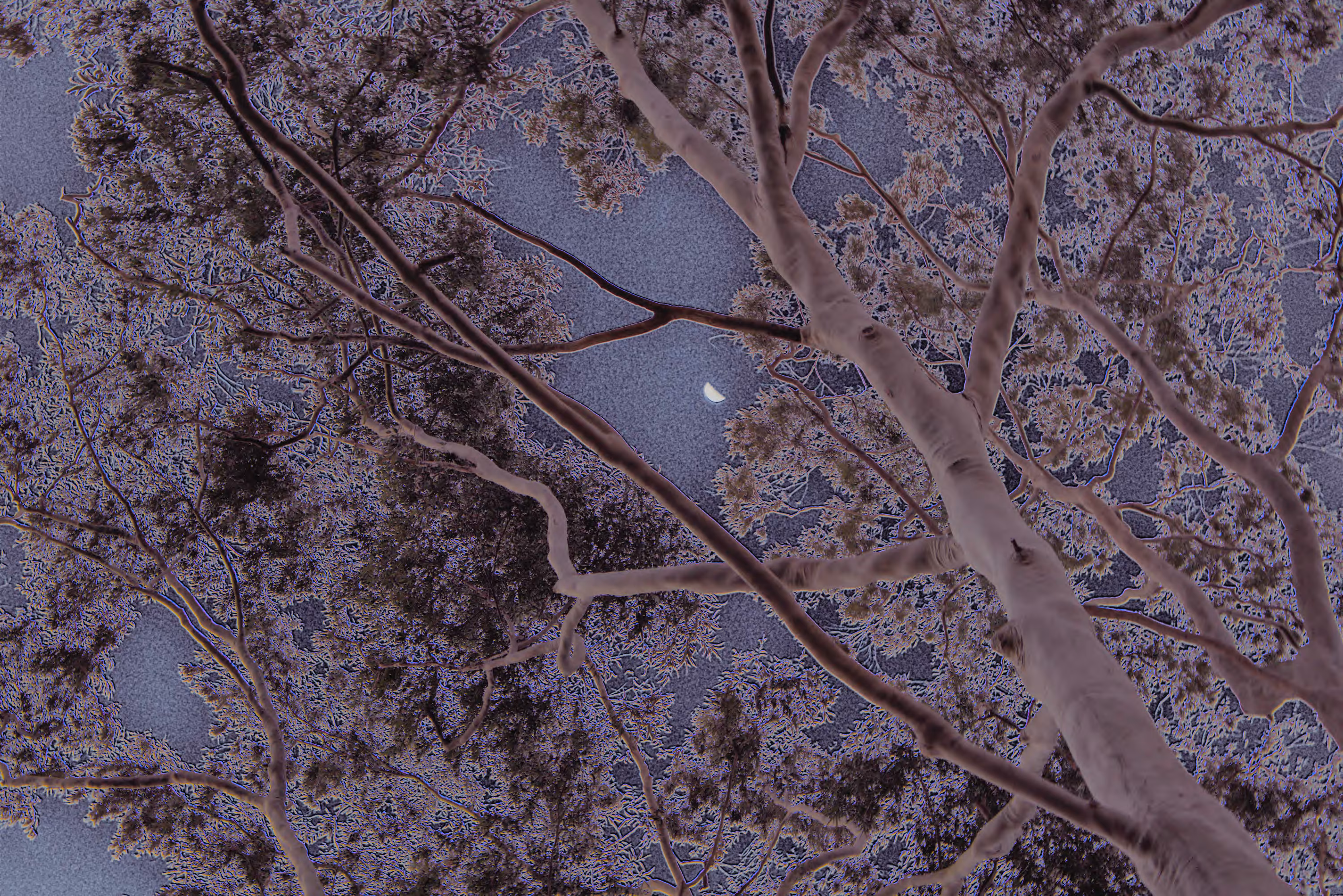 Moonframe