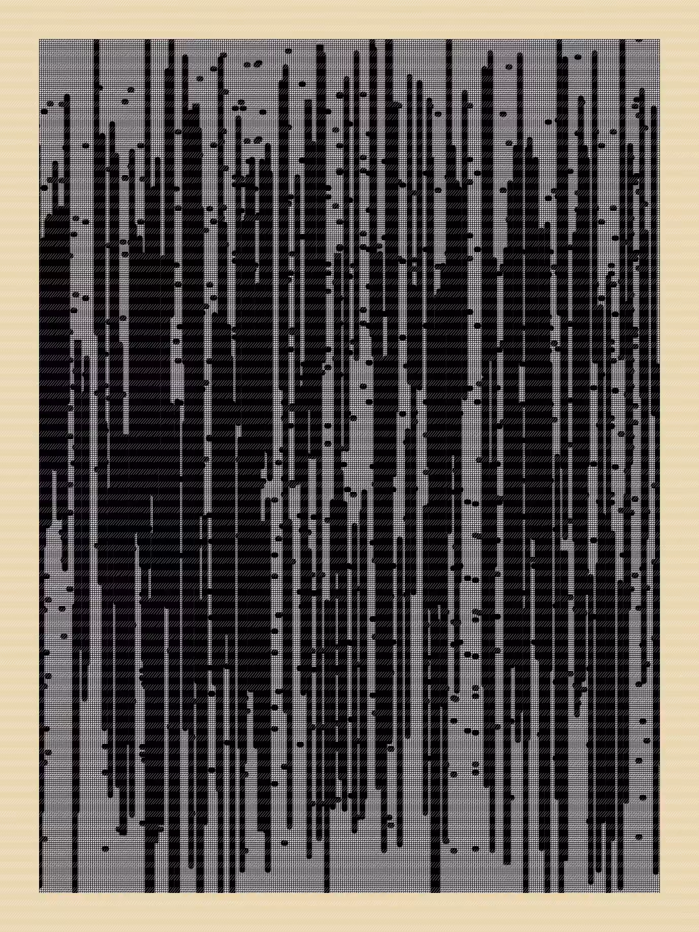 N01ZE GR1D #177