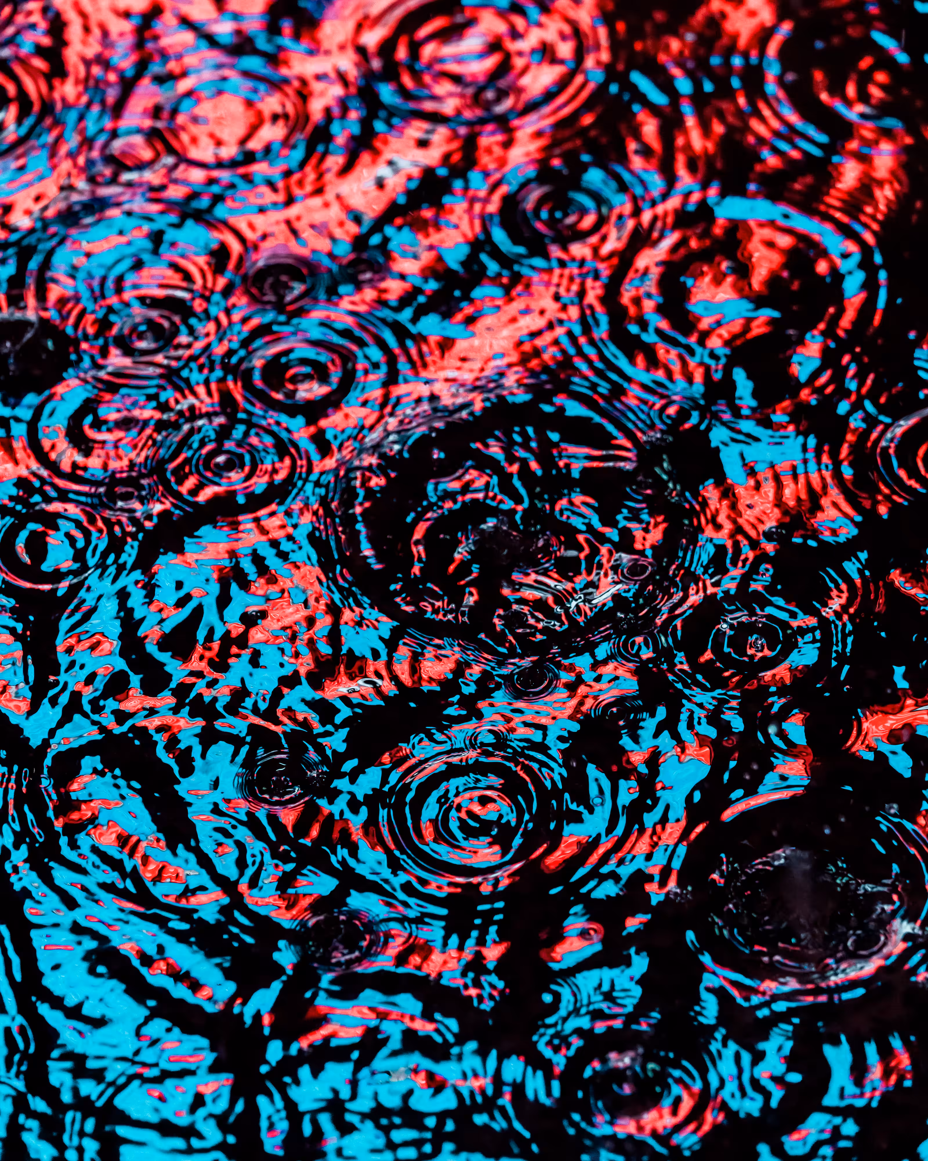 DRIP #537