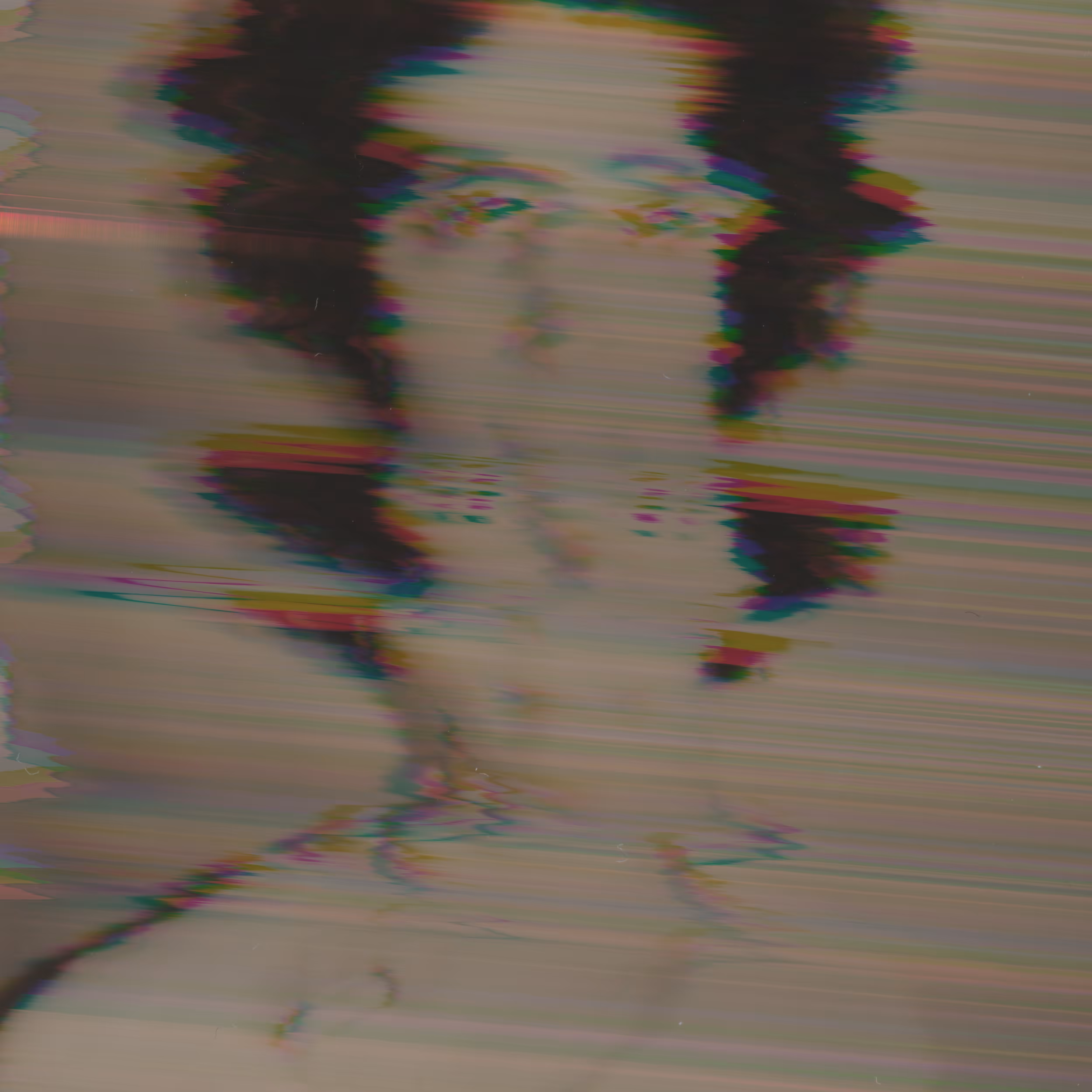 Hide I'm (Privacy Portraits)