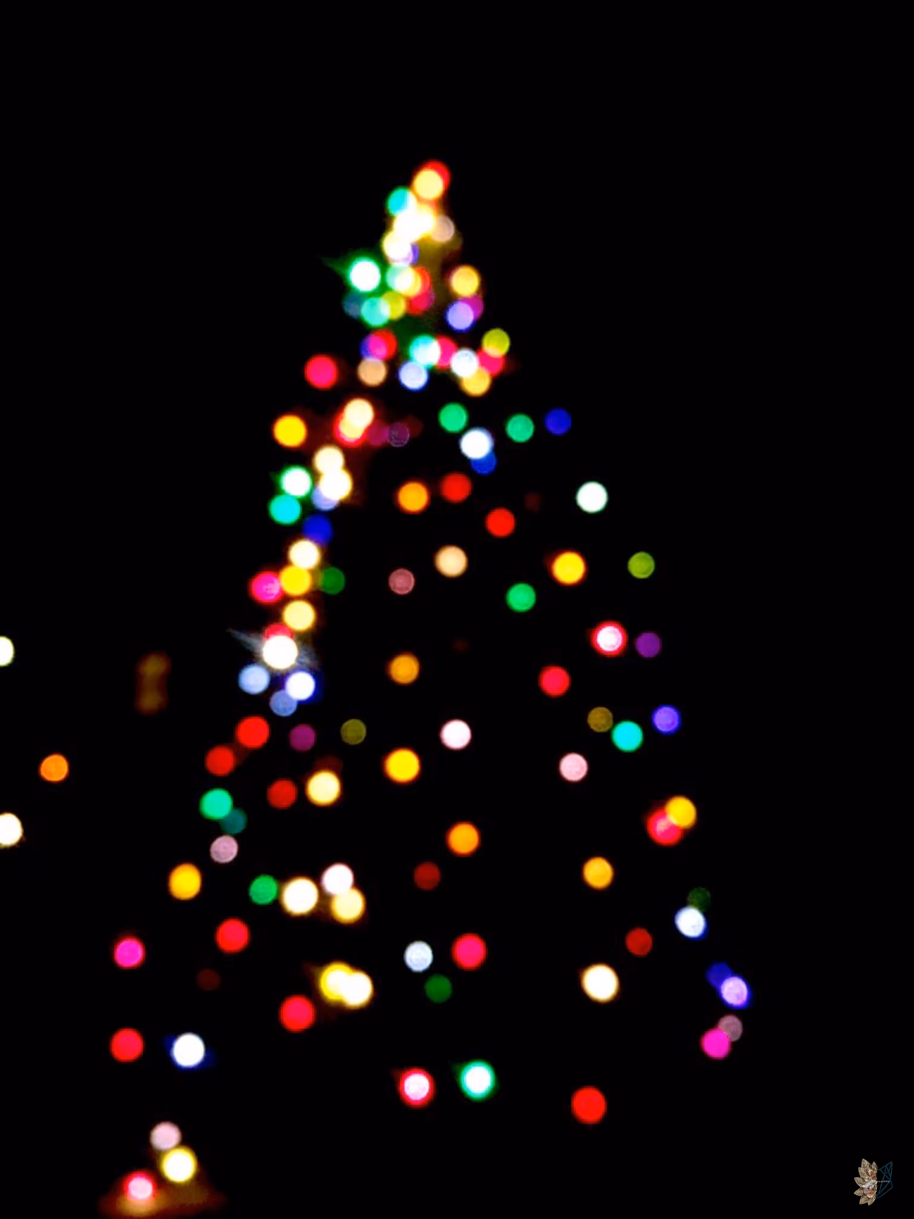 Bokeh Around the Christmas Tree 