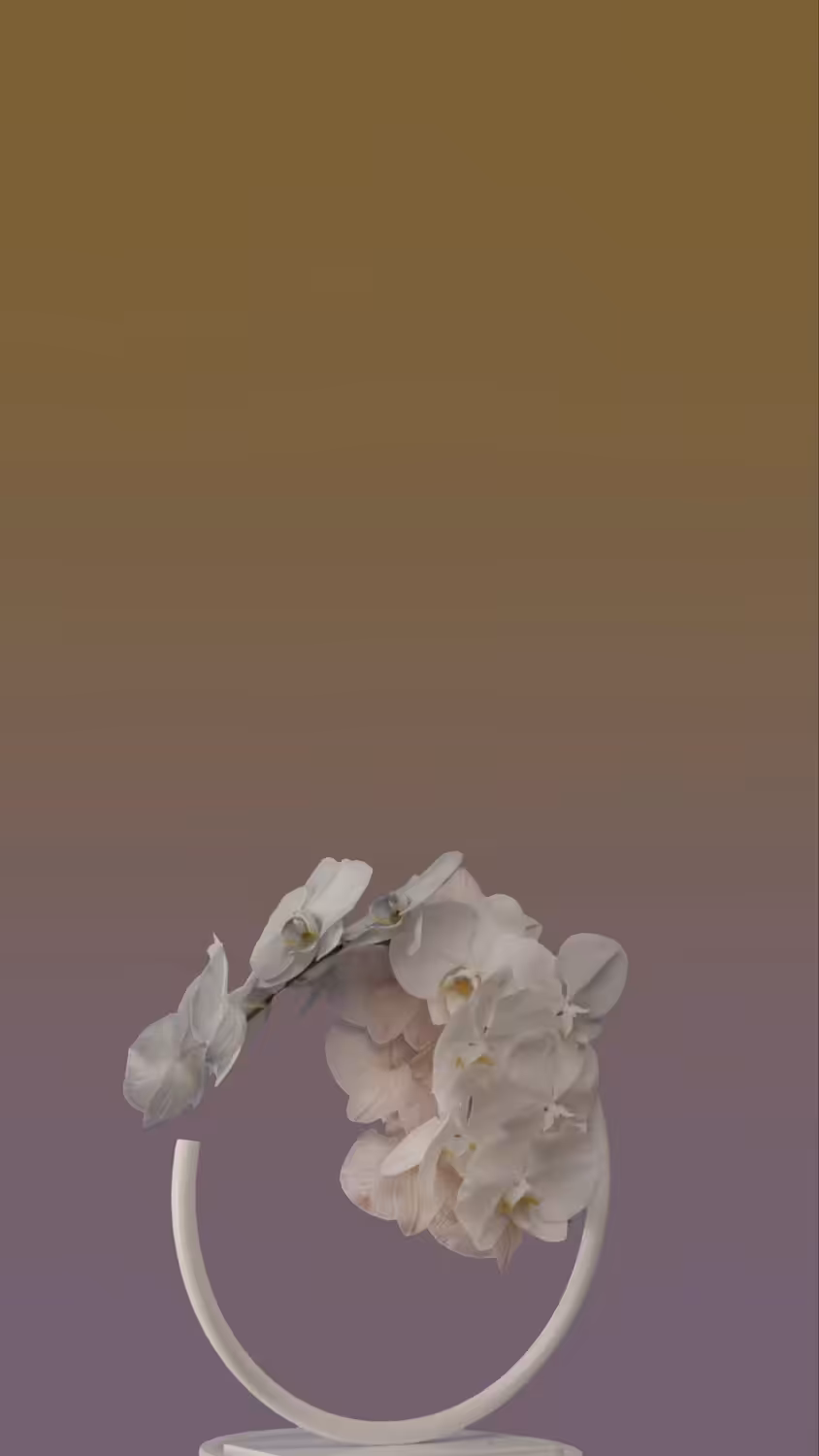 Moth orchid, in motion