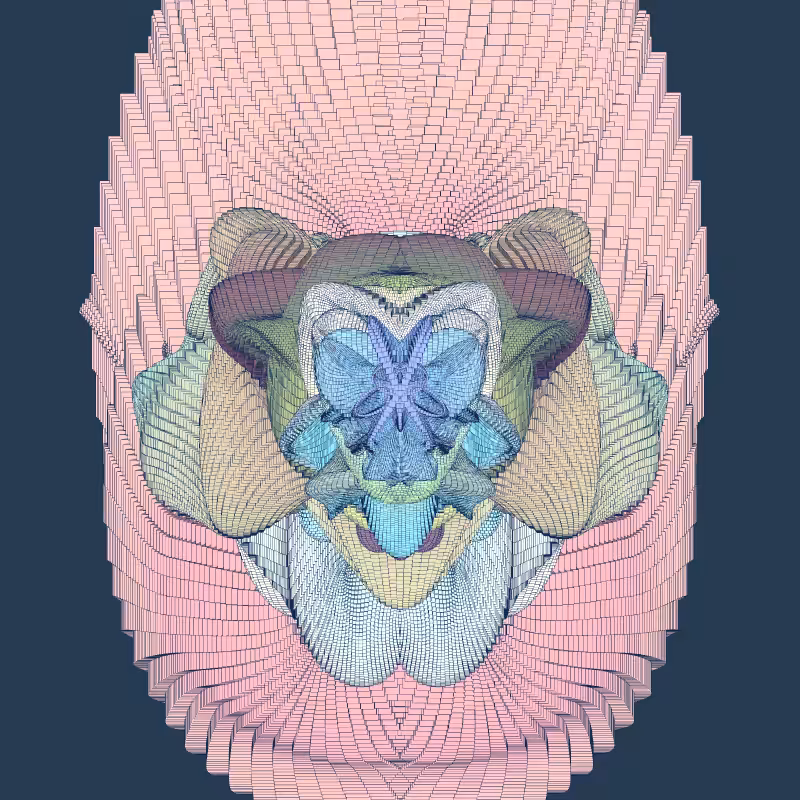 Zaratan #182