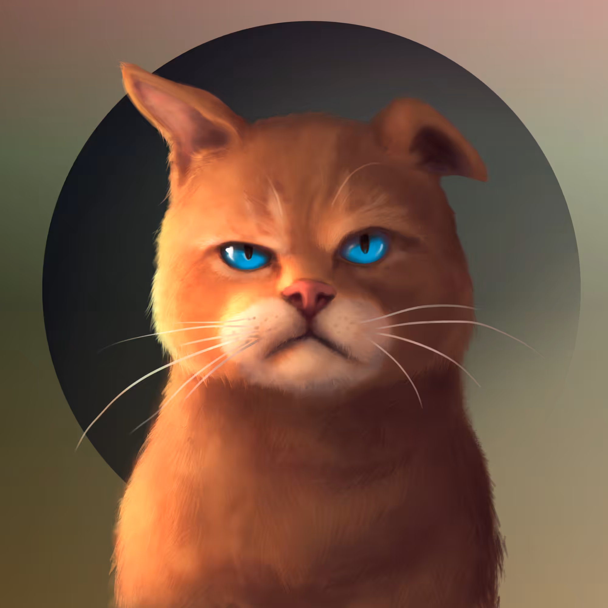 Gangsta Cat #24