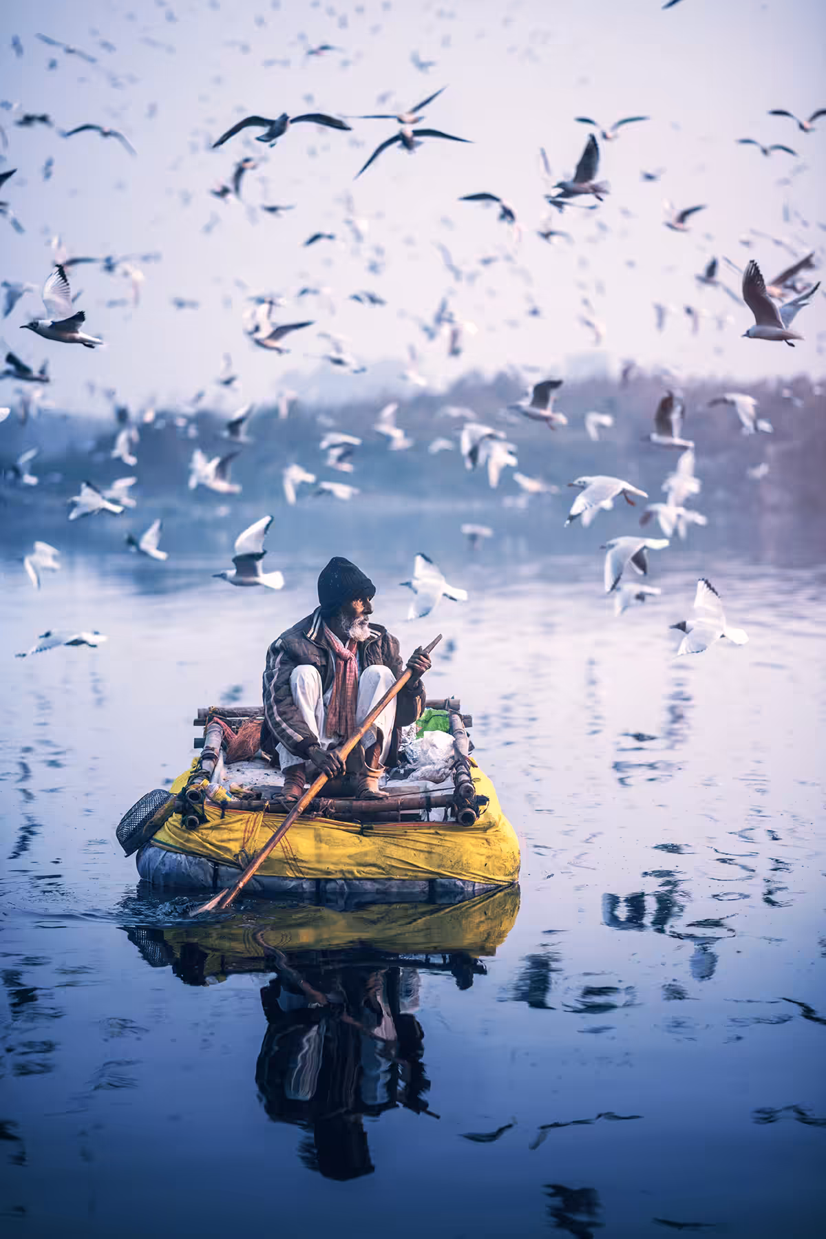 The raftsman and the gulls