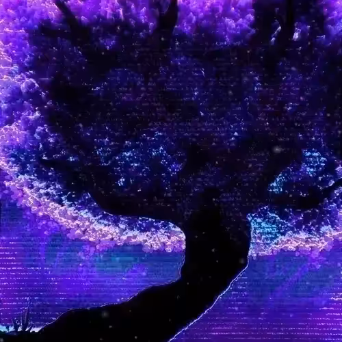 Experimental Art Collection: Meditation