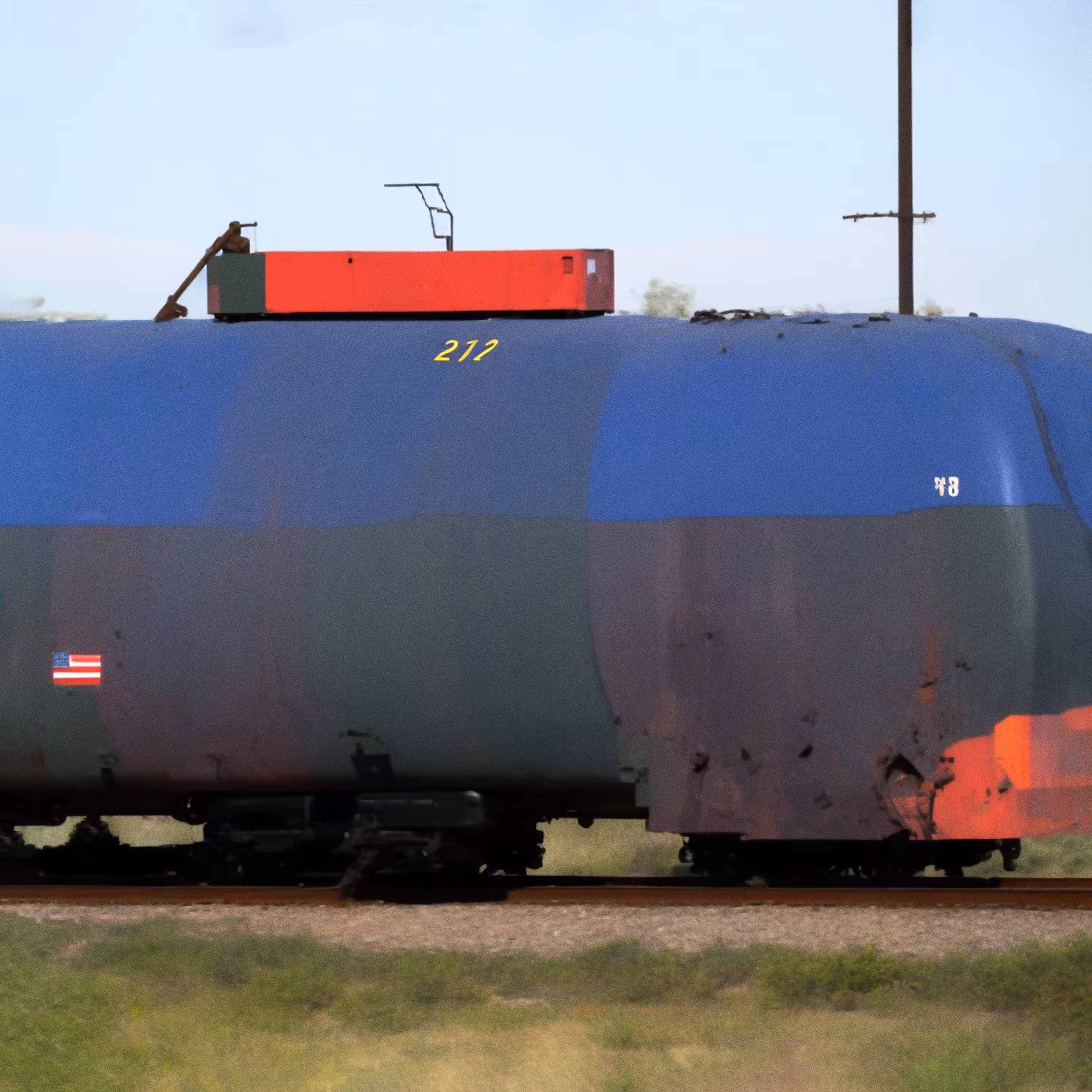 Wholetrain