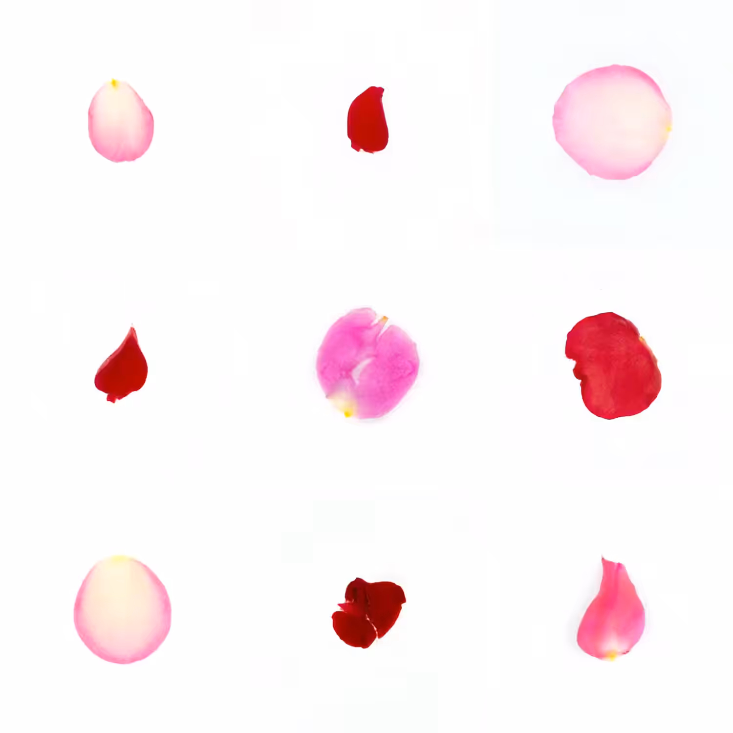 Infinite Petals 3x3#1114