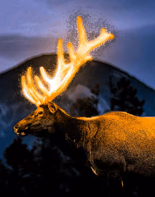 DEER 2