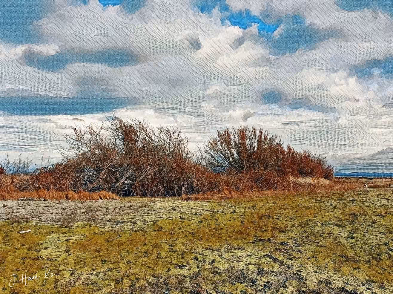 Autumn Thicket