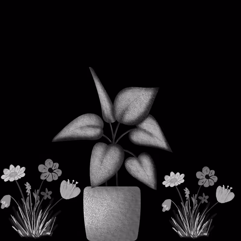 Plants #8