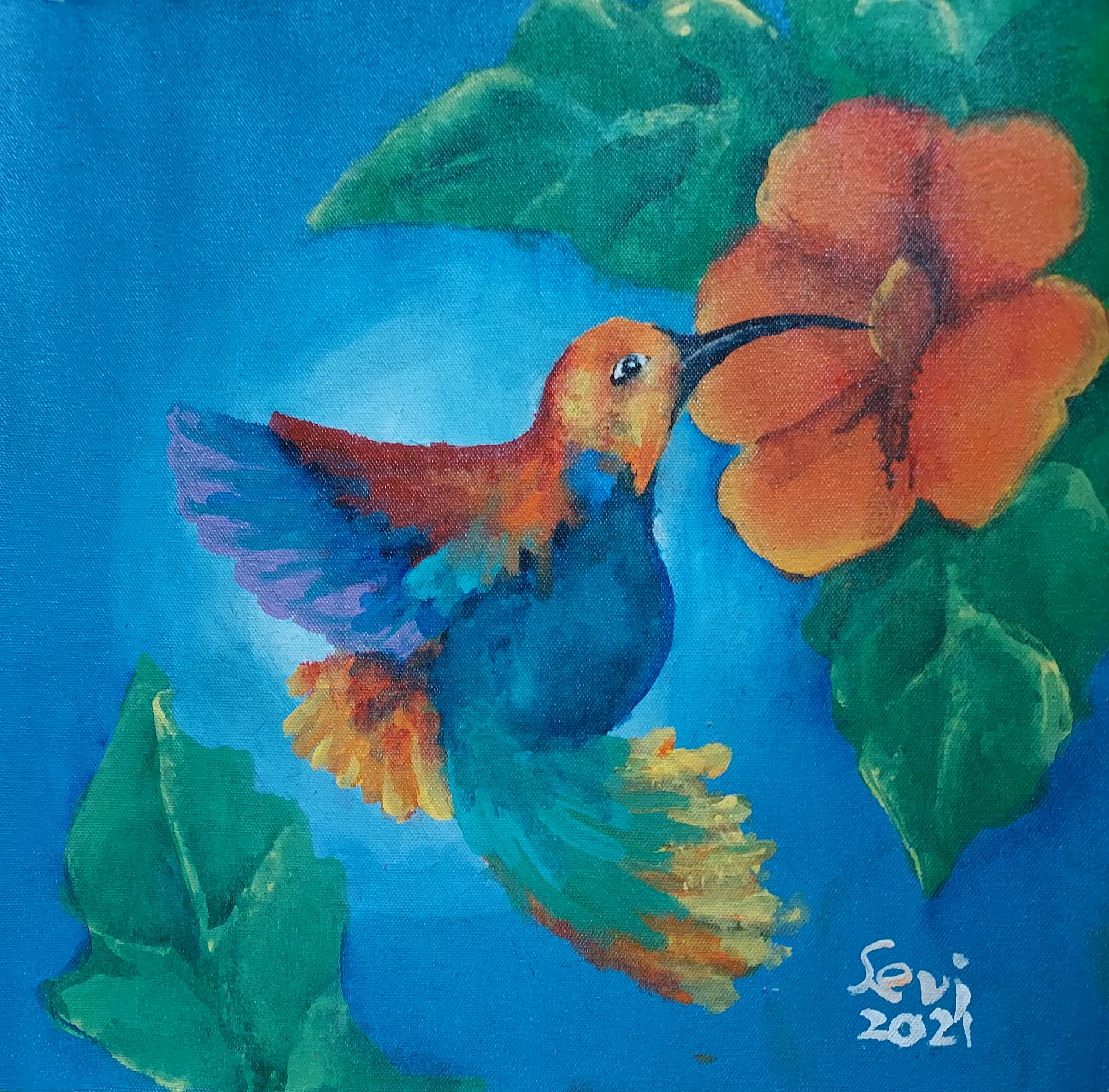 Hummingbird II by Sevi