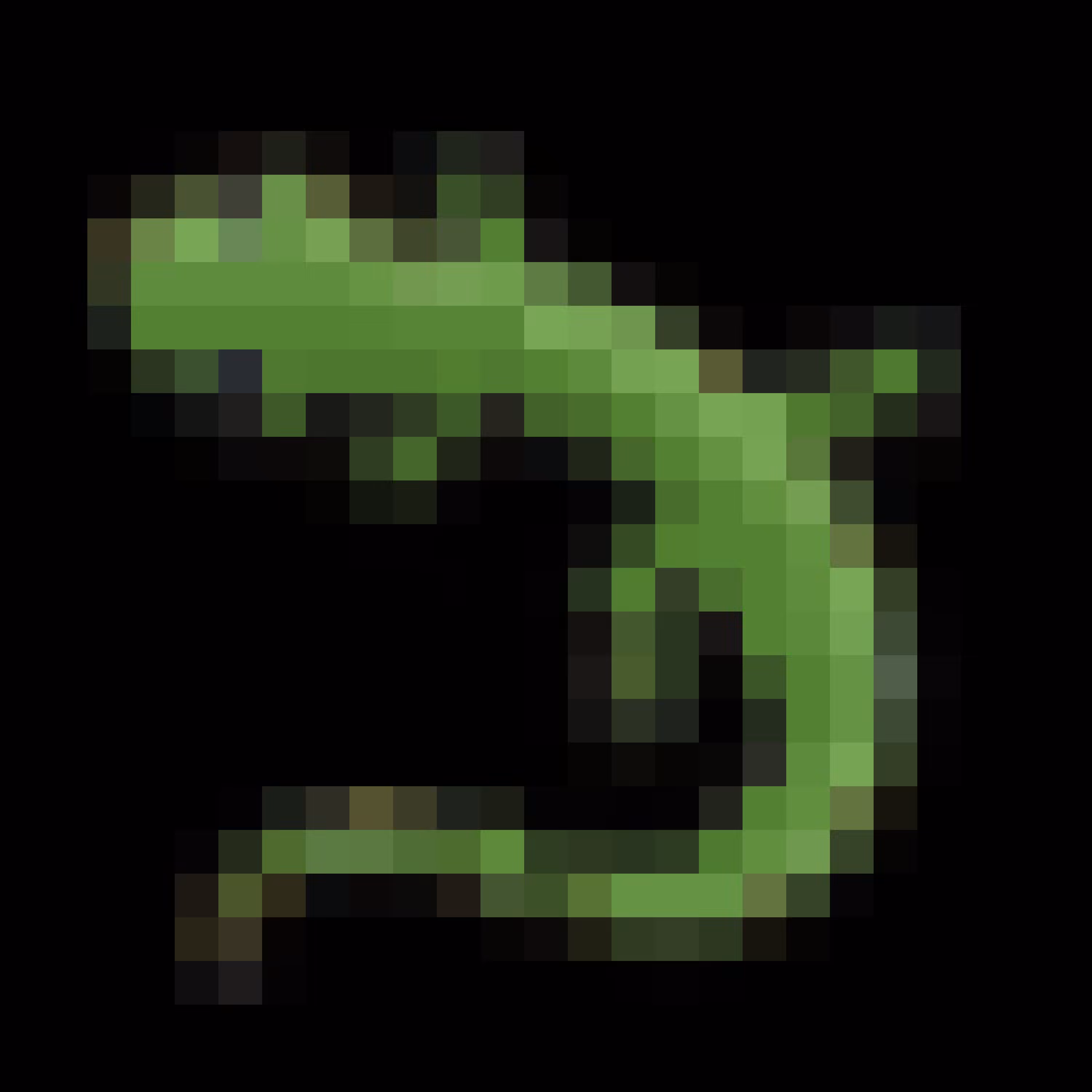 🦎