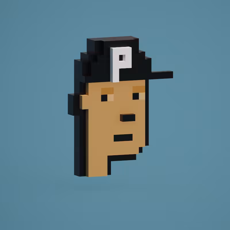 Portland Voxel Punk