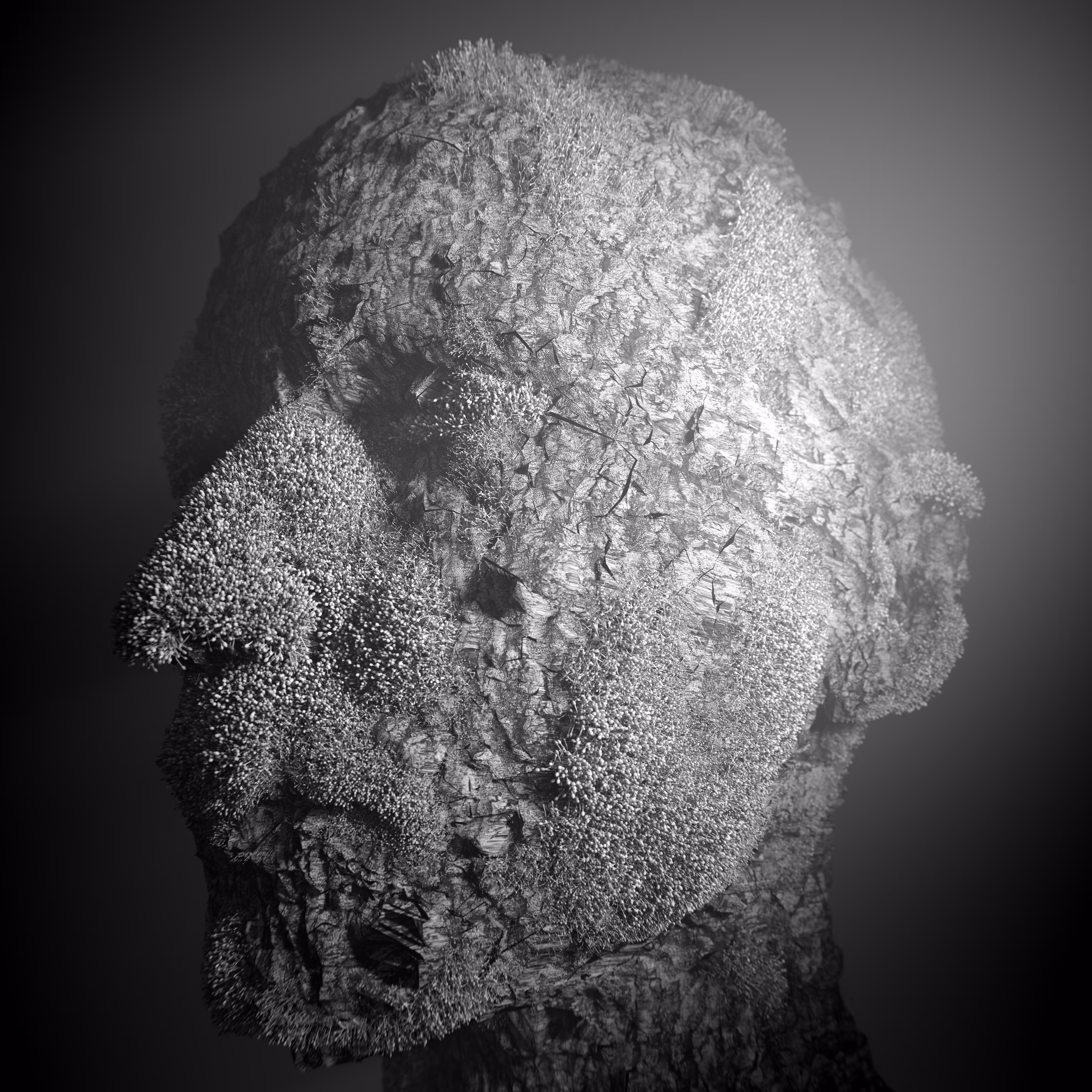 Moss-0x02